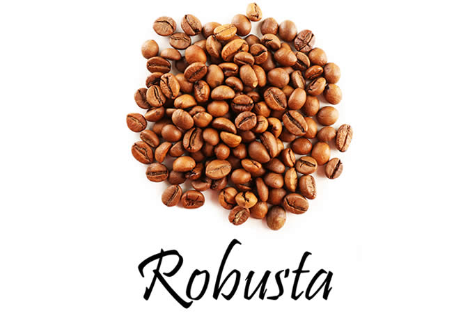 ロブスタ種（カネフォラ種）